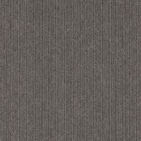 Opposite Beige 817