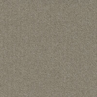 Millennium Beige 061