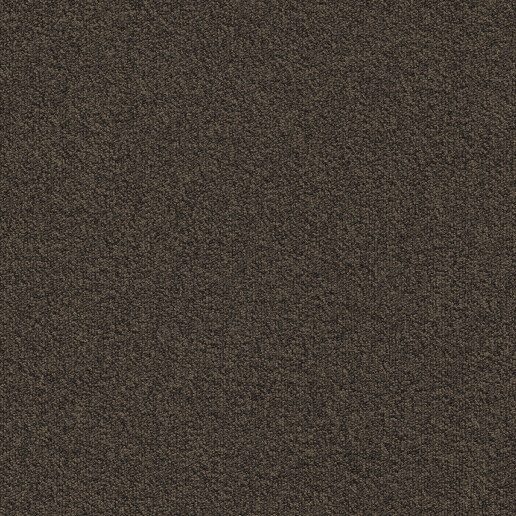 Millennium Bruin 883