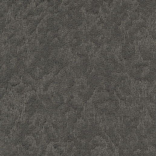 Vision Taupe 847
