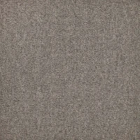 First Forward Zand 140