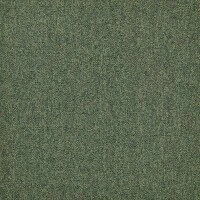 First Forward Appelgroen 625