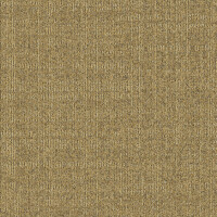 Dune Beige 216