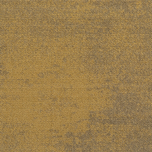 Haze Okergeel 224 LP