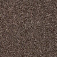 Arizona Bruin 822.jpg