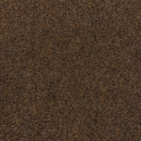 dynamic bruin 80.png