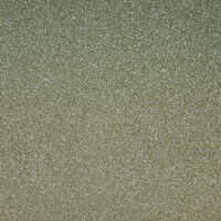 supreme khaki.png