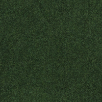 nouveau vert.png