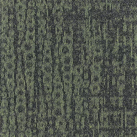 MEZZO GRADIENT_659_A.jpg groen.png