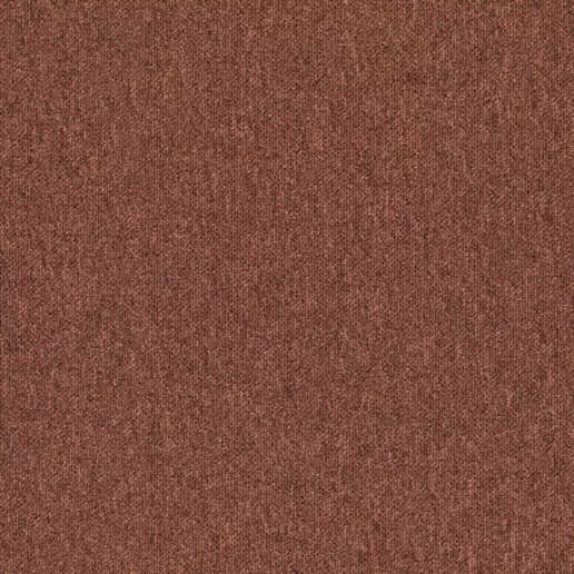 Monos_319-A_LR.jpg oranje bruin.png